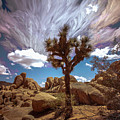 Desert Space Time 2