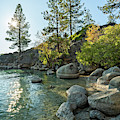 Tahoe Blues 15